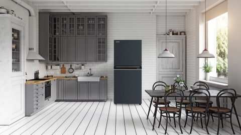 Tủ Lạnh Toshiba Inverter 180 Lít GR-RT234WE-PMV (52)