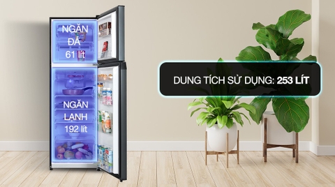 Tủ Lạnh Toshiba Inverter 253 Lít GR-RT329WE-PMV (52)