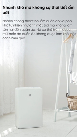 Máy hút ẩm Xiaomi New WideTech 12 lít WDH312ENW1