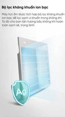 Máy hút ẩm Xiaomi New WideTech 12 lít WDH312ENW1