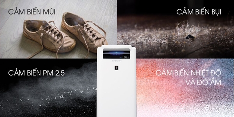 Máy lọc không khí tạo ẩm Sharp KC-G40EV-W