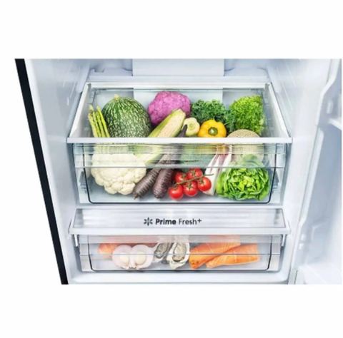 Tủ lạnh Panasonic Inverter 420 Lít NR-BX471WGKV