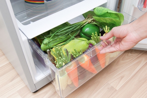 Tủ lạnh Hitachi 260 Lít R-H310PGV7 (BBK)