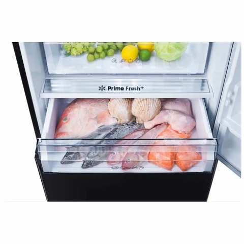 Tủ lạnh Panasonic Inverter 420 lít NR-BX471XGKV