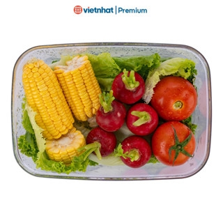 Bộ hộp thực phẩm, hộp lạnh chữ nhật tomei Hokori Tomei 6561+6562 Nhựa Việt Nhật shop