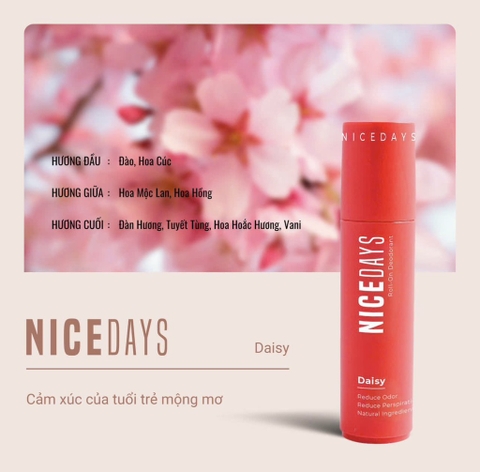 Thanh lăn khử mùi thiên nhiên - Daisy - GBM group