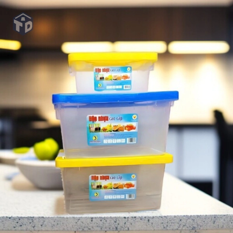 Nhựa T L Thành: Hộp Nhựa Nắp Cài 2 Quai Size Nhỏ