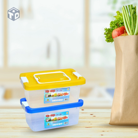 Nhựa T L Thành: Hộp Nhựa Nắp Cài 2 Quai Size Nhỏ