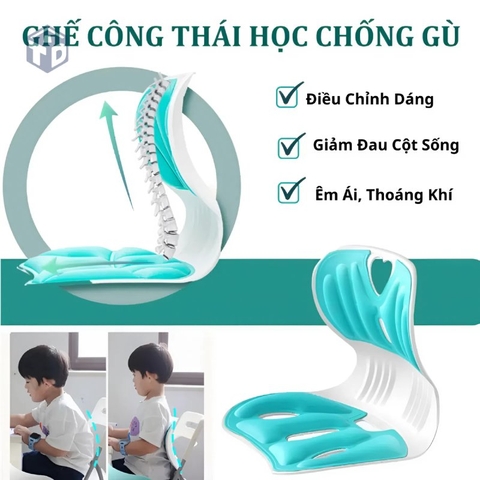 Ghế Công Thái Học Chống Gù Lưng (T30) - (Cái)