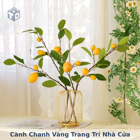 Cành Chanh Vàng Trang Trí Nhà Cửa