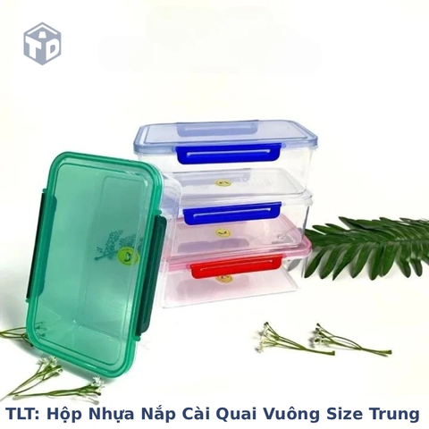 Nhựa T L Thành: Hộp Nhựa Nắp Cài Quai Vuông Size Trung