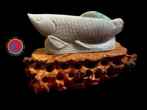 Long Ngọc Tụ Vinh - CÁ RỒNG NGỌC PHỈ THÚY