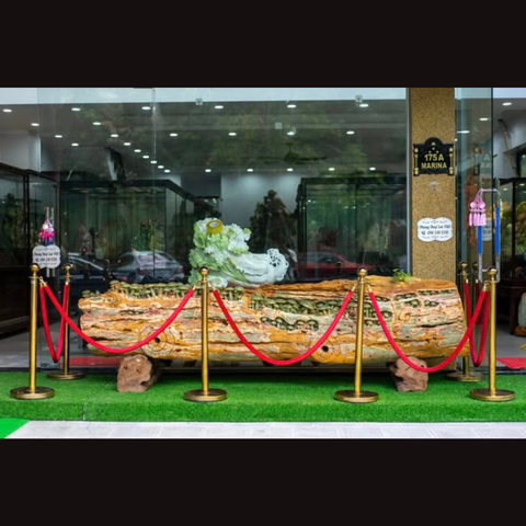 NẤM LINH CHI TRƯỜNG THỌ NGỌC BÍCH