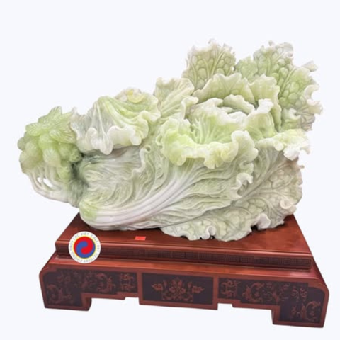 TỤ BẢO SINH TÀI – CÂY BẮP CẢI PHONG THỦY