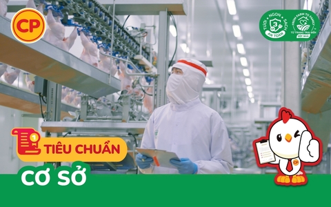 Tiêu chuẩn cơ sở thực phẩm là gì? Quy trình xây dựng TCCS cho sản phẩm thực phẩm