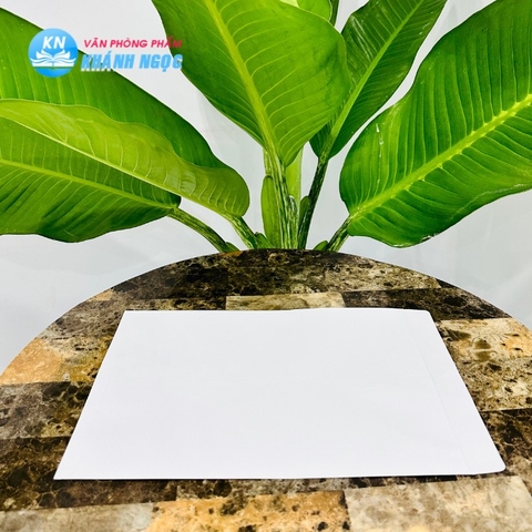 Bao thư A4 Trắng 100gms