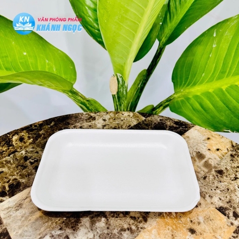 Khay xốp trắng M40 (800 cái / cây)