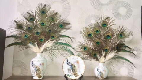 Bình lông công - Bí quyết tăng vận may, hút tài lộc