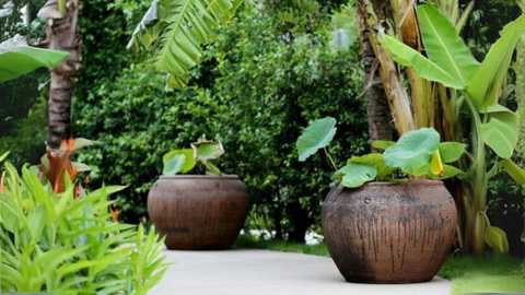 Lu, chậu gốm trồng cây - Mảnh ghép cho khu vườn của bạn