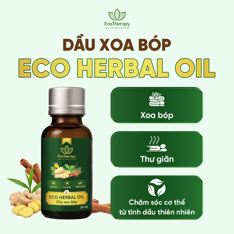 Eco Herbal Oil 20ml - Dầu Massage Thảo Dược Dapharco