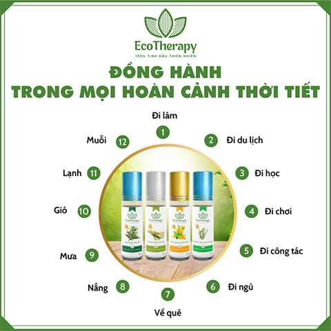 TINH DẦU BI LĂN BALANCE – 9ml
