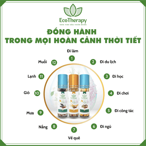 TINH DẦU BI LĂN THẢO MỘC GINSENG – 8ml