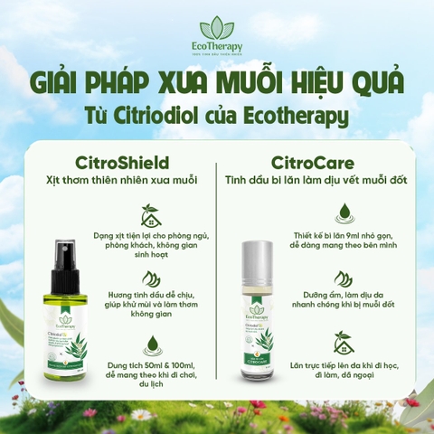 Combo 3in1 Citriodiol - Lau sàn Eco An 1000ml, Xịt Citroshiled 50ml , Bi Lăn Citrocare 9ml Thiên Nhiên An Toàn