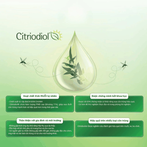 Combo Bảo Vệ Gia Đình Xịt Citroshield & Nước Lau Sàn ECO AN - Khử Mùi, Thơm Mát, Xua Đuổi Côn Trùng EcoTherapy