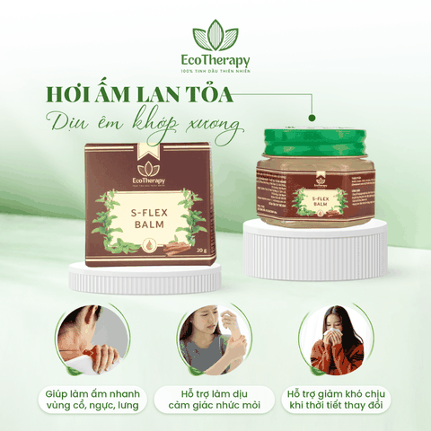 S-FLEX BALM -  CAO XOA DƯỢC LIỆU – XOA DỊU NHỮNG CƠN ĐAU KHÓ CHỊU