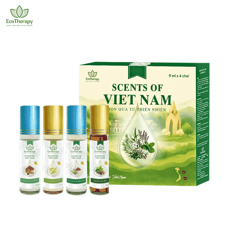 COMBO 4 TINH DẦU BI LĂN SCENTS OF VIETNAM