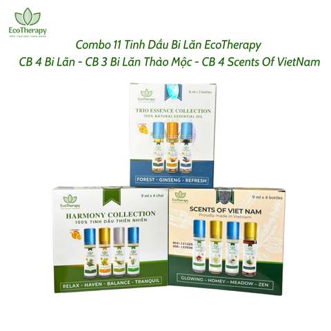 Combo Tinh Dầu Bi Lăn EcoTherapy 11 Loại – Thư Giãn, Cân Bằng, Chăm Sóc Sức Khỏe Tự Nhiên EcoTherapy
