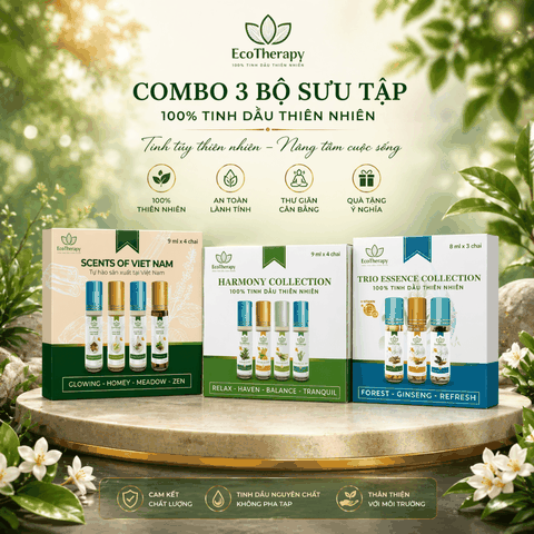 Combo Tinh Dầu Bi Lăn EcoTherapy 11 Loại – Thư Giãn, Cân Bằng, Chăm Sóc Sức Khỏe Tự Nhiên EcoTherapy