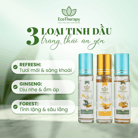COMBO 3 TINH DẦU BI LĂN THẢO MỘC CAO CẤP