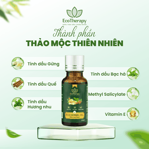 Eco Herbal Oil 20ml - Dầu Nóng Xoa Bóp