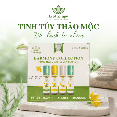 COMBO 4 TINH DẦU BI LĂN THIÊN NHIÊN