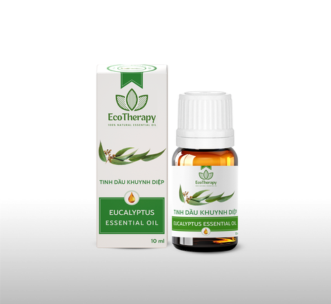 TINH DẦU KHUYNH DIỆP – 10 ml