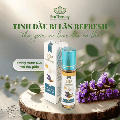 COMBO 3 TINH DẦU BI LĂN THẢO MỘC CAO CẤP