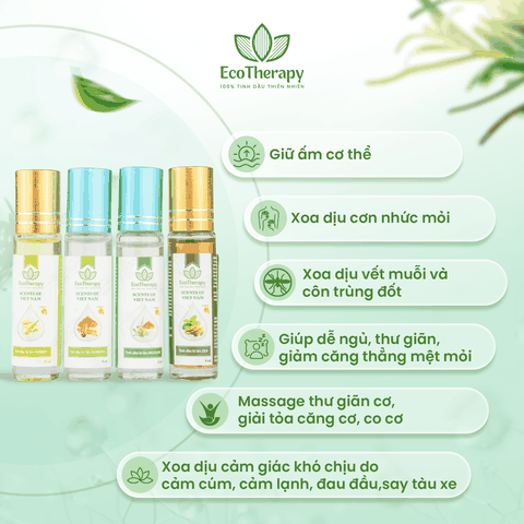 COMBO 4 TINH DẦU BI LĂN SCENTS OF VIETNAM