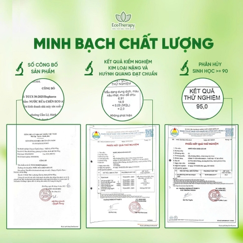 Combo Chăm Sóc Nhà Cửa EcoTherapy – Nước Lau Sàn 1000ml, Rửa Chén 485ml, Rửa Tay 300ml Sạch Khuẩn, An Toàn Từ Thiên Nhiên