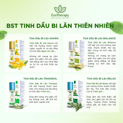 Combo Tinh Dầu Bi Lăn EcoTherapy 11 Loại – Thư Giãn, Cân Bằng, Chăm Sóc Sức Khỏe Tự Nhiên EcoTherapy