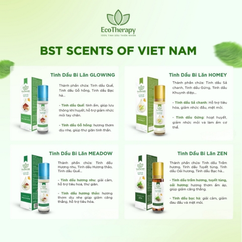 Combo Tinh Dầu Bi Lăn EcoTherapy 11 Loại – Thư Giãn, Cân Bằng, Chăm Sóc Sức Khỏe Tự Nhiên EcoTherapy