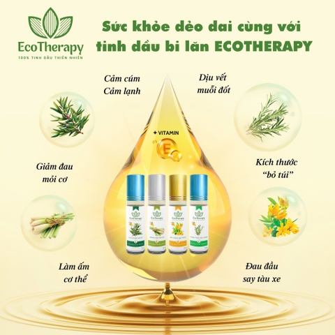 Combo Tinh Dầu Bi Lăn EcoTherapy 11 Loại – Thư Giãn, Cân Bằng, Chăm Sóc Sức Khỏe Tự Nhiên EcoTherapy