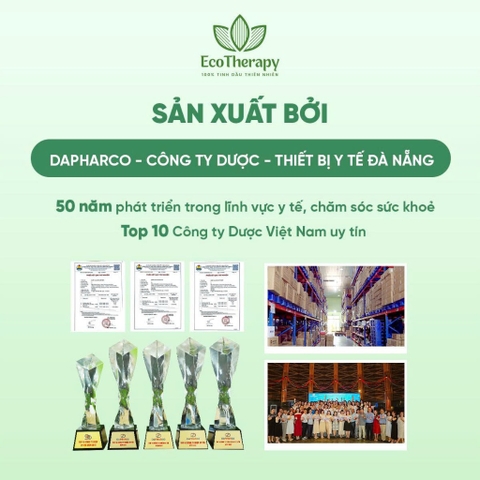 Combo 3 Nước Lau Sàn Thiên Nhiên 1000ml EcoTherapy – Hỗ Trợ Xua Đuổi Muỗi, Côn Trùng, Hương Thơm Dịu Nhẹ