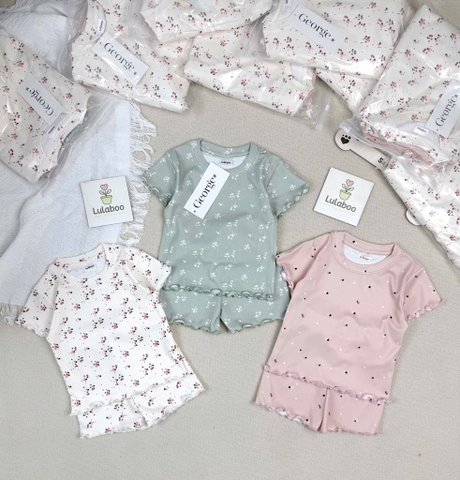 SET 3 BỘ HOA NHÍ HỒNG XANH TRẮNG BÉ GÁI(XẢ 139k)
