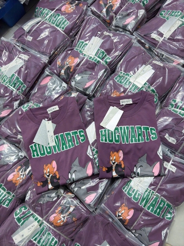 ÁO PHÔNG TÍM HOGWARTS NỮ SẴN(XẢ 69k)