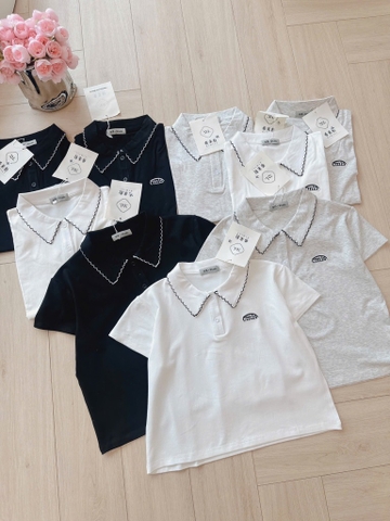 ÁO POLO CỔ VIỀN CÁCH ĐIỆU NỮ SẴN