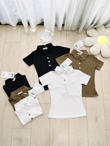 ÁO POLO TRỤ MIXX CÚC ĐỒNG 3 MẦU NỮ - (xả 39K)