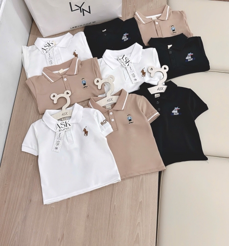 SET 3 ÁO POLO CỔ ĐỨC TRẮNG NÂU ĐEN BÉ TRAI
