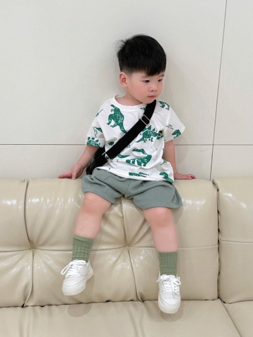 SET KHỦNG LONG XANH LÁ BÉ TRAI