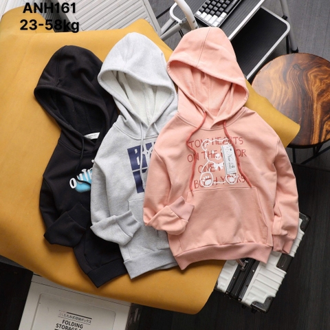 ÁO NỈ HOODIE THỜI TRANG BÉ TRAI BÉ GÁI ĐẠI